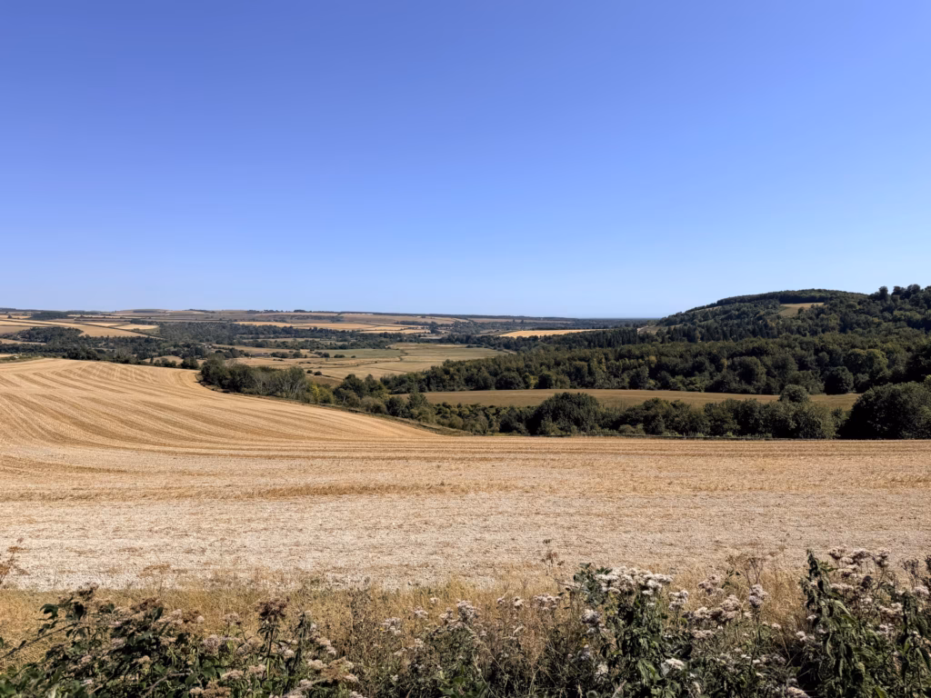 Countryside crops